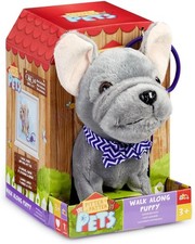 Pitter Patter Pets Frenchie