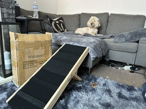 Wooden dog ramp - wooden, adjustable