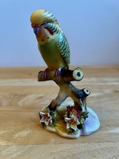 Royal Adderley China Budgerigar VGC