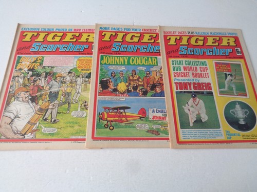 Tiger and scorcher - tiger,
