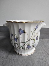 Vintage Spode Plant Pot