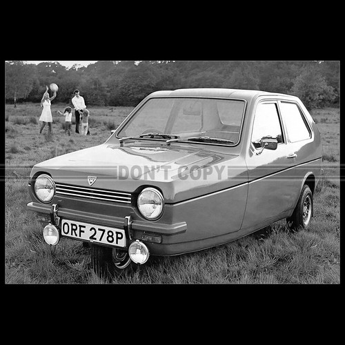Photo 028165 reliant - reliant, robin