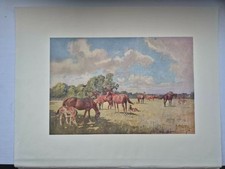 Antique Coloured Fox Hunting