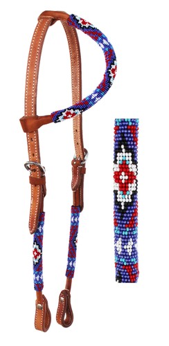 Horse show bridle - horse,