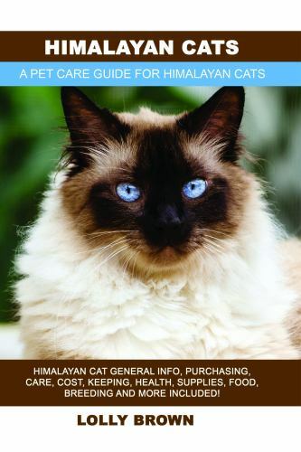 Himalayan cats cat - cats:,