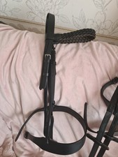  full size black Plaited Show Hunter Bridle With 2inch Noseband 