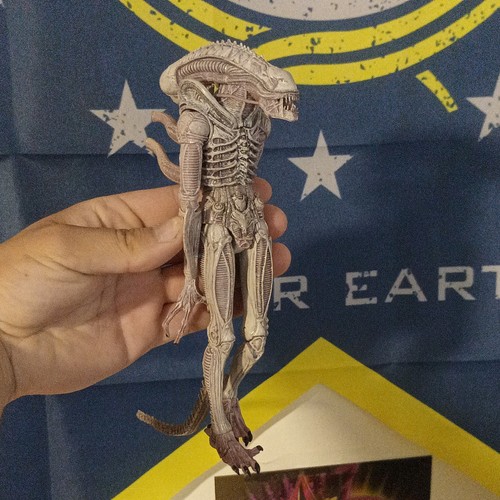 Alien xenomorph science - alien,