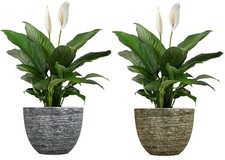 SG Large Round Plastic Garden Plant Pot Flower Pots Planter Herb Pots Spiral NEW