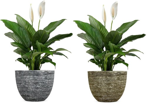 Large round plastic garden - sg,