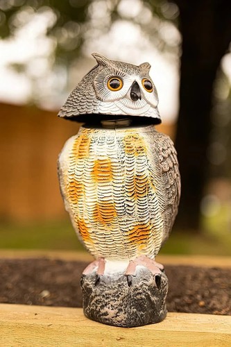 Owl decoy garden repellent - garden,