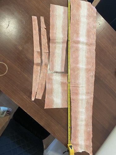 Genuine python skin - genuine,