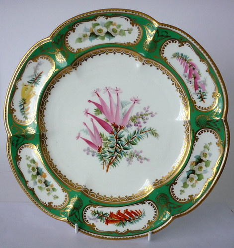 Antique c19th coalport - c19th,