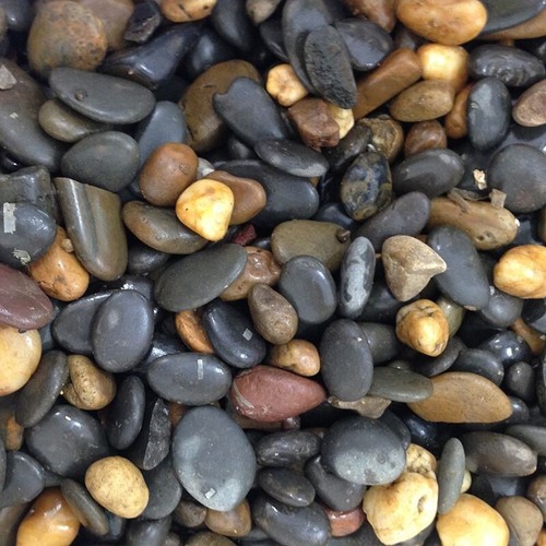 Allpondsolutions aquarium fish - allpondsolutions,