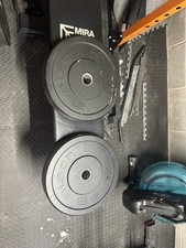 Bison Bumper Plates 20kg X2