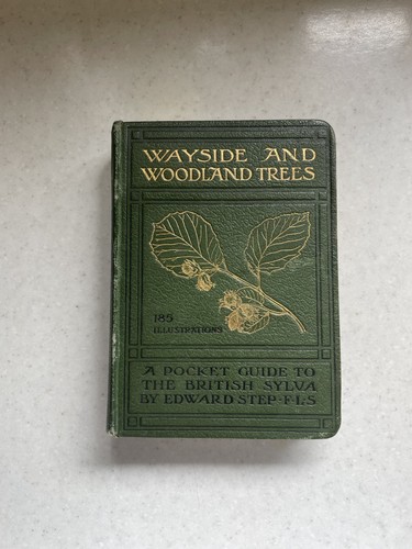 1904 wayside and woodland