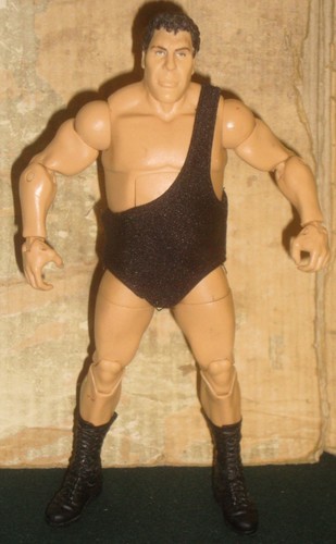 Wwe wrestling figure - wwe,