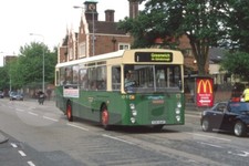 Bus Photo - Ipswich Buses 104