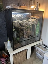 Large Reptile Or Amphibian Terrarium Vivarium Enclosure