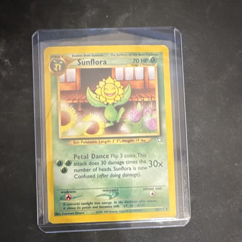 The pokémon company - company,