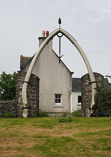 Photo 6x4 whalebone arch - whalebone,