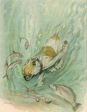 BULLDOG BLOBBS SWIMS WTH FISH RARE ANTIQUE 1927 DOG ART PRINT by G VERNON STOKES