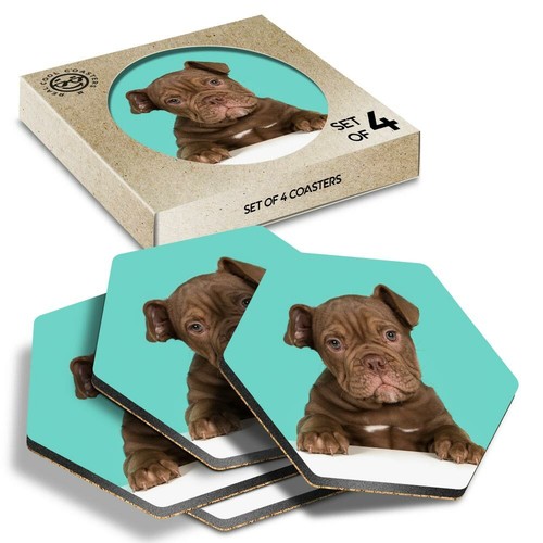 Hexagon coasters cute - x,