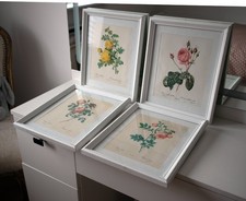 PJ Redoute Rare Set Of Four Framed Vintage Prints