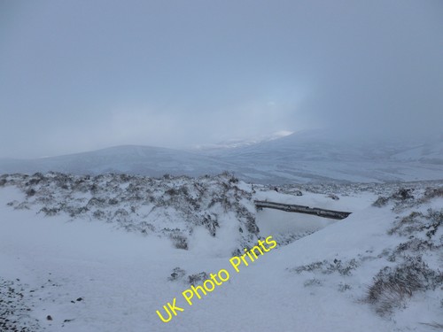 Photo 12x8 pole for tunnel - for,