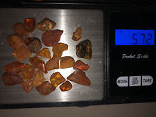 Antique Baltic Genuine Amber Rough Gem Stone Natur Bernstein, 5.72 g Fossil