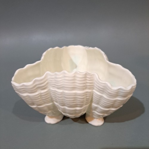 Royal worcester bone - worcester,