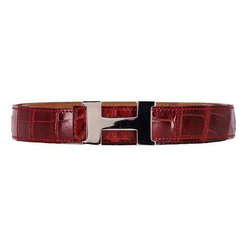 Hermes crocodile porosus - crocodile,
