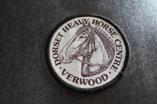 Dorset heavy horse centre - horse,