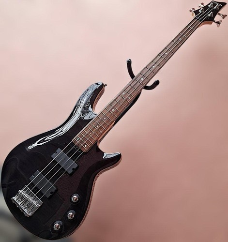 Schecter jol stbk bass - jol-ct-b-4,