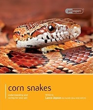 Corn snakes pet expert - corn,