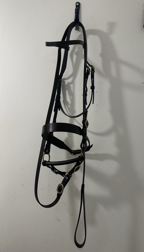 Fylde full hunter inhand - hunter,