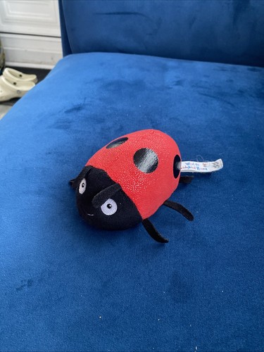 What the ladybird heard - the,