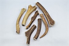 Scottish Stag Horn Antler Dog Chew Shed Sustainable Dog Antler-EXTRA LARGE