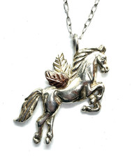 Black Hills Sterling Silver