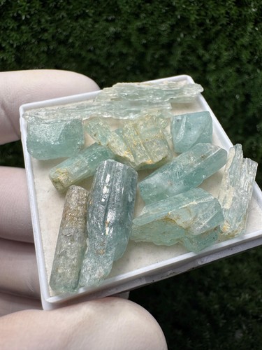 Wow aquamarine lot 10 - aquamarine,
