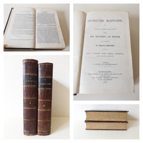 1858 deonglydd berniadol - deonglydd,
