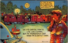 Tipsy Camper, Teardrop Trailer