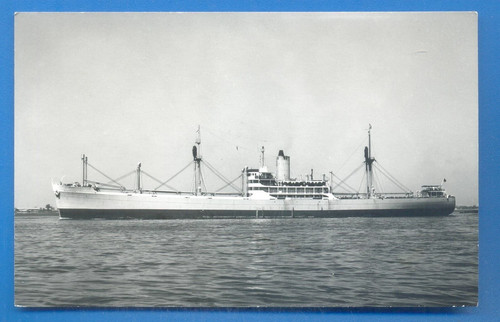 Benvenue benline photograph - benvenue.benline.photograph, 9