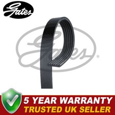 Gates V-Ribbed Belts Fits Peugeot Citroen Ford VW Skoda Volvo Seat M... - 6PK975