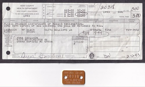 1993 kent county - kent, dog