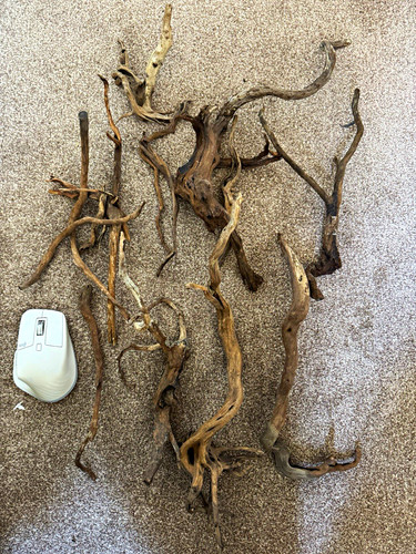 Aquarium bundle drift wood - bundle-drift,
