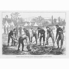 IRELAND Digging Potatoes at