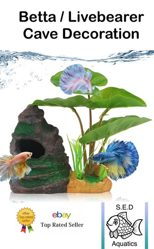 Aquarium decoration betta - aquarium, fish