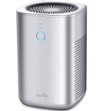 Home Air Purifier for Large