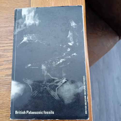 British palaeozoic fossils - palaeozoic,