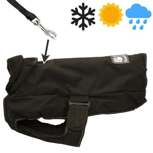 Danish design ultimate dog - danish,